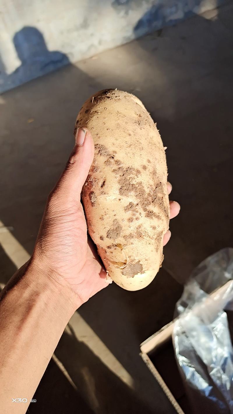 0.5料到2斤优质产品
