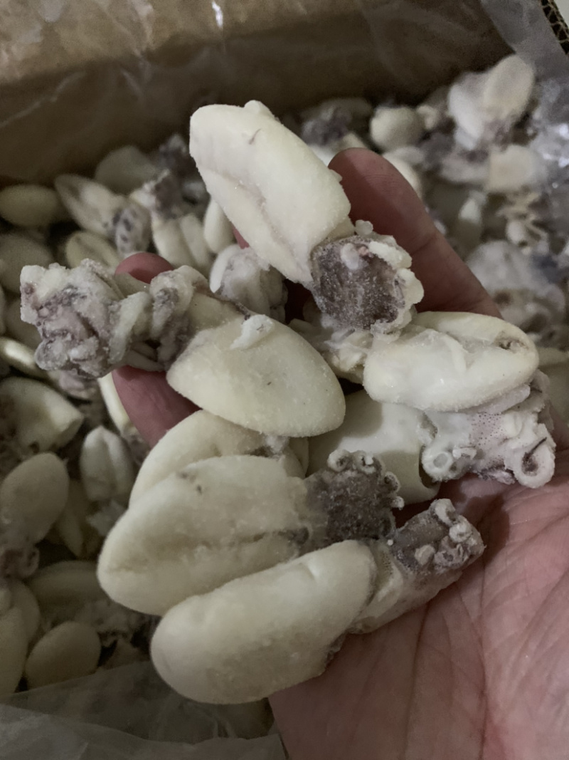 北海厂家直供单冻次品墨鱼仔、适合食堂、饭店、量大价优。