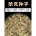 关防风种子防风种子中药材防风籽防风种苗包邮基地包发芽正品
