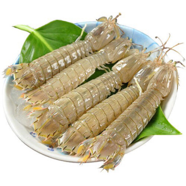 批发皮皮虾