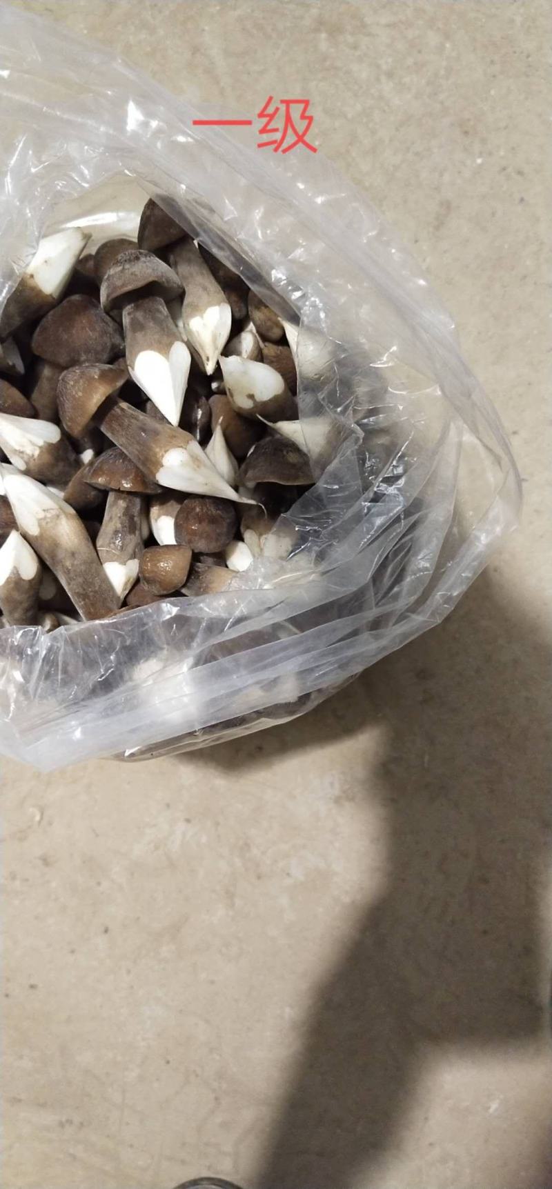 天南地北货，无东问西发---黑皮鸡枞菌，基地直发，