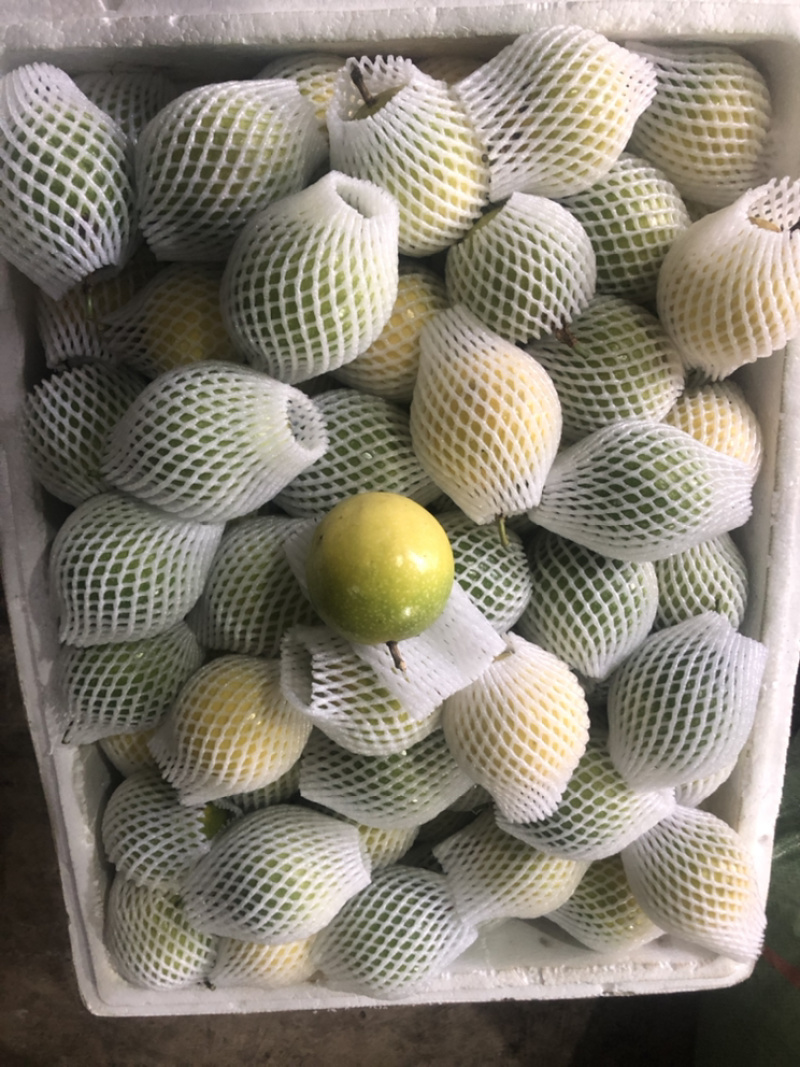 云南芭乐味黄金百香果批发各大商超精品供货包运费上门