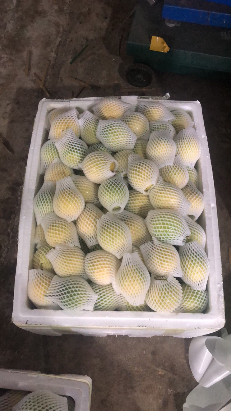 云南芭乐味黄金百香果批发各大商超精品供货包运费上门