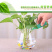 厂家批发营养液通用水培盆栽果树植物营养好