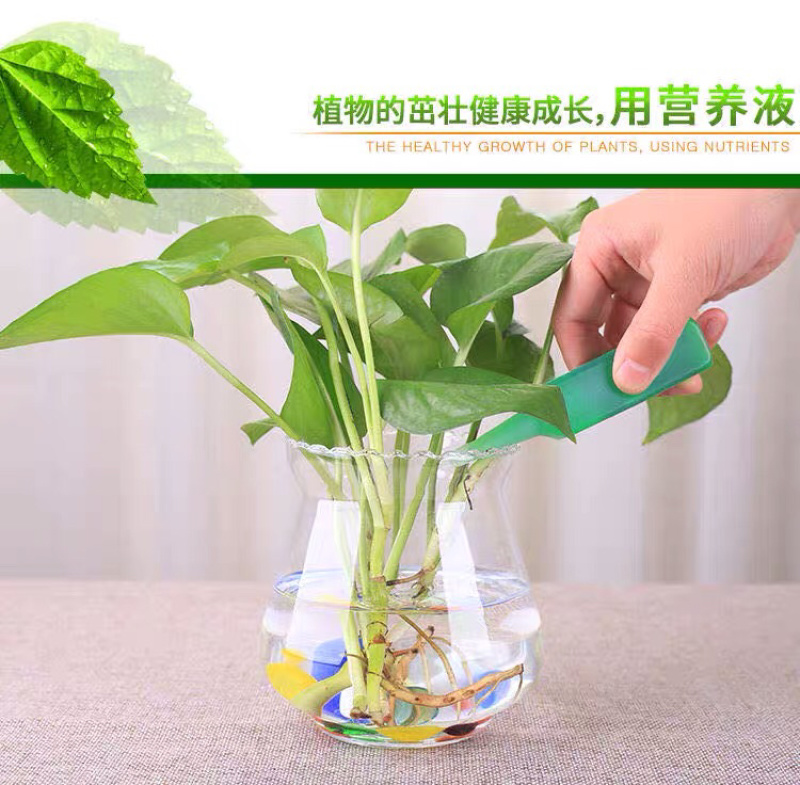 厂家批发营养液通用水培盆栽果树植物营养好