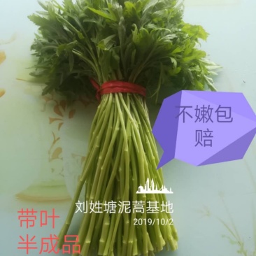 刘姓塘泥蒿去叶去老梗一直供应到6月份每天下午四点发中通