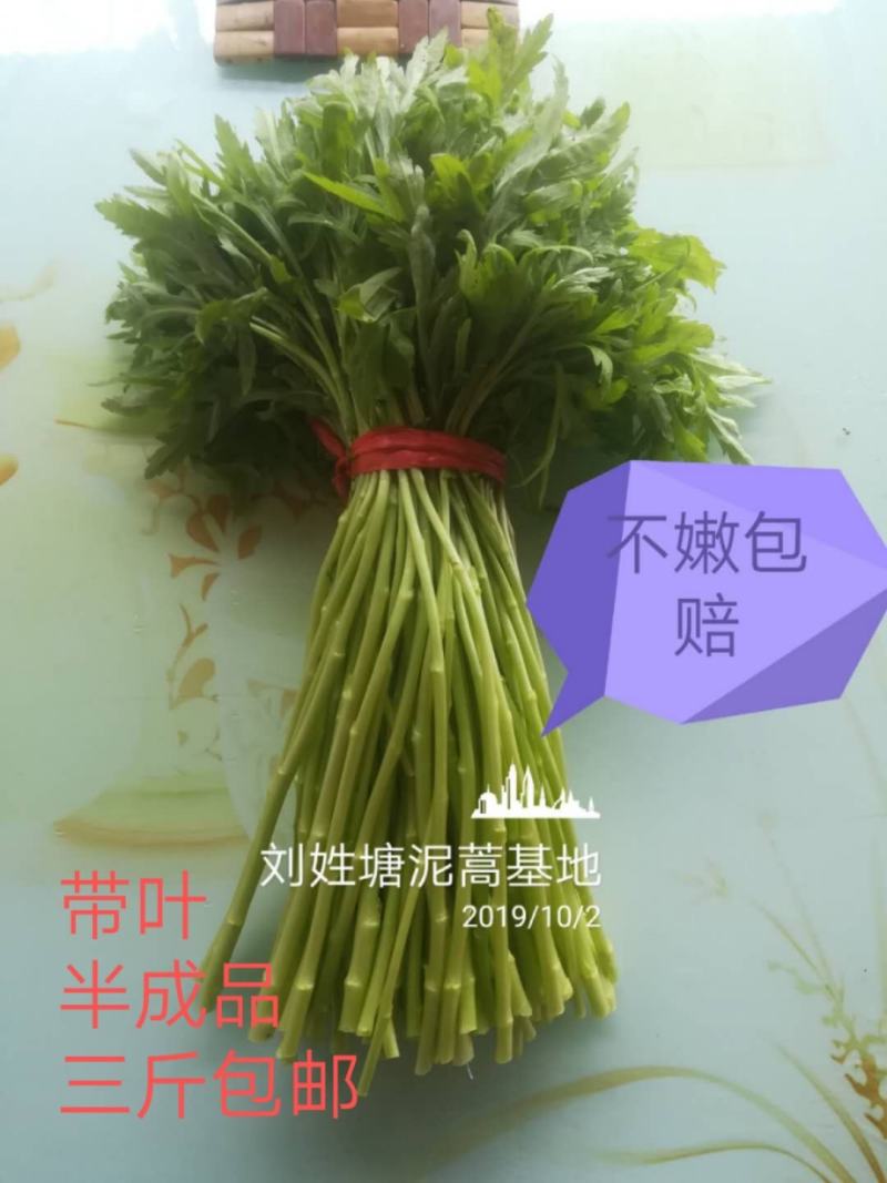 刘姓塘泥蒿去叶去老梗一直供应到6月份每天下午四点发中通
