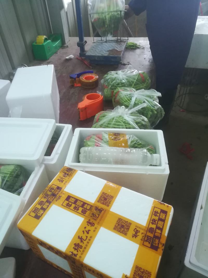 刘姓塘泥蒿去叶去老梗一直供应到6月份每天下午四点发中通