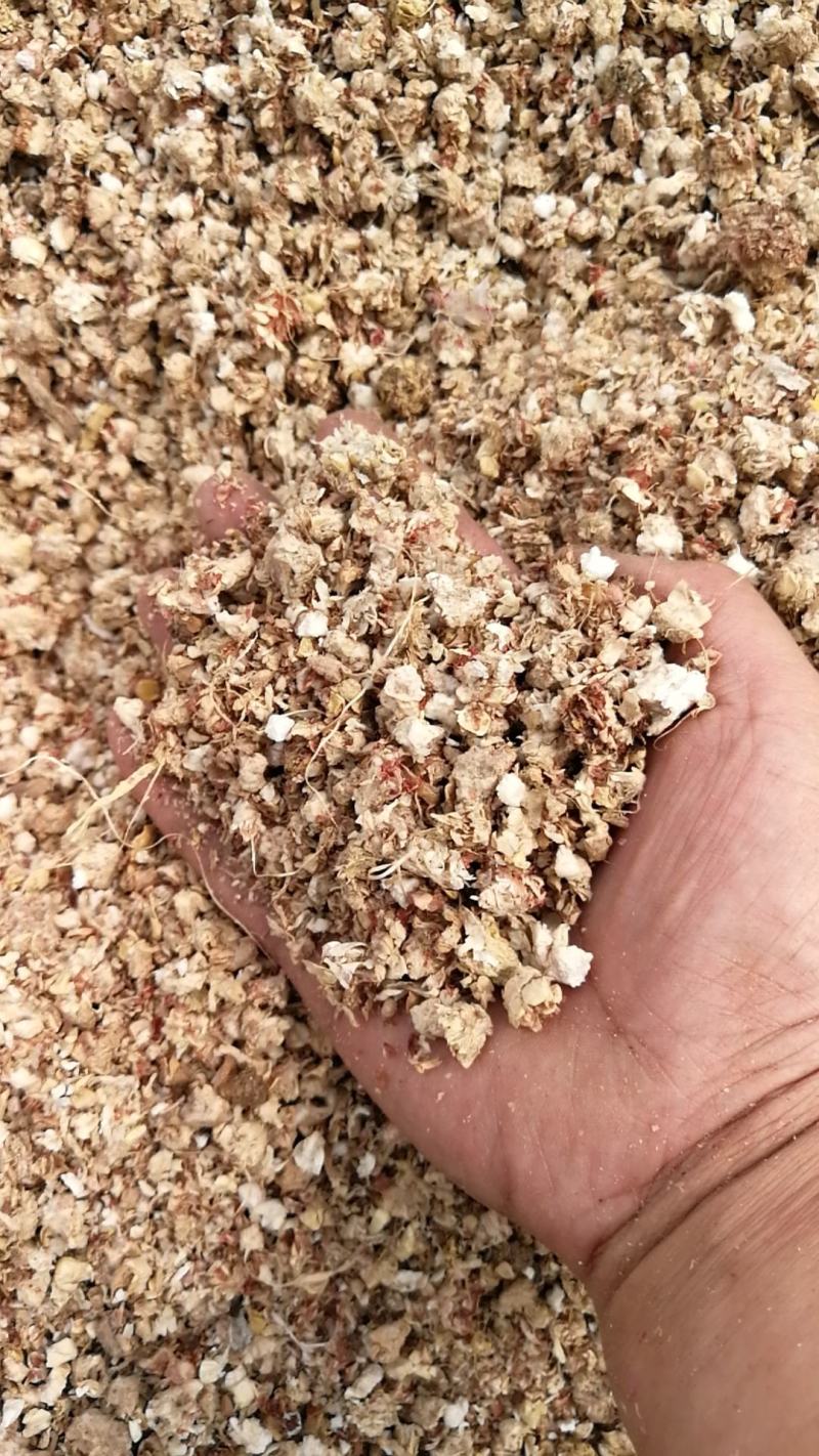 玉米芯（量大从优）粗细搭配用于栽培平菇、大球盖等优质原料