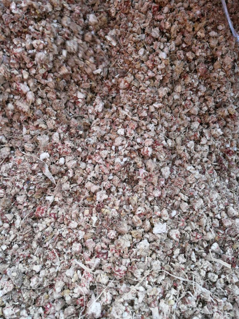 玉米芯（量大从优）粗细搭配用于栽培平菇、大球盖等优质原料