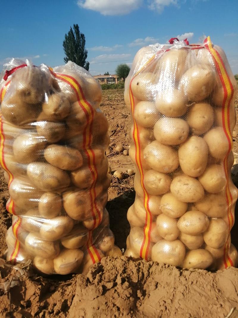 【推荐】土豆陕西226土豆纯沙地，个头大颜色好质量保证