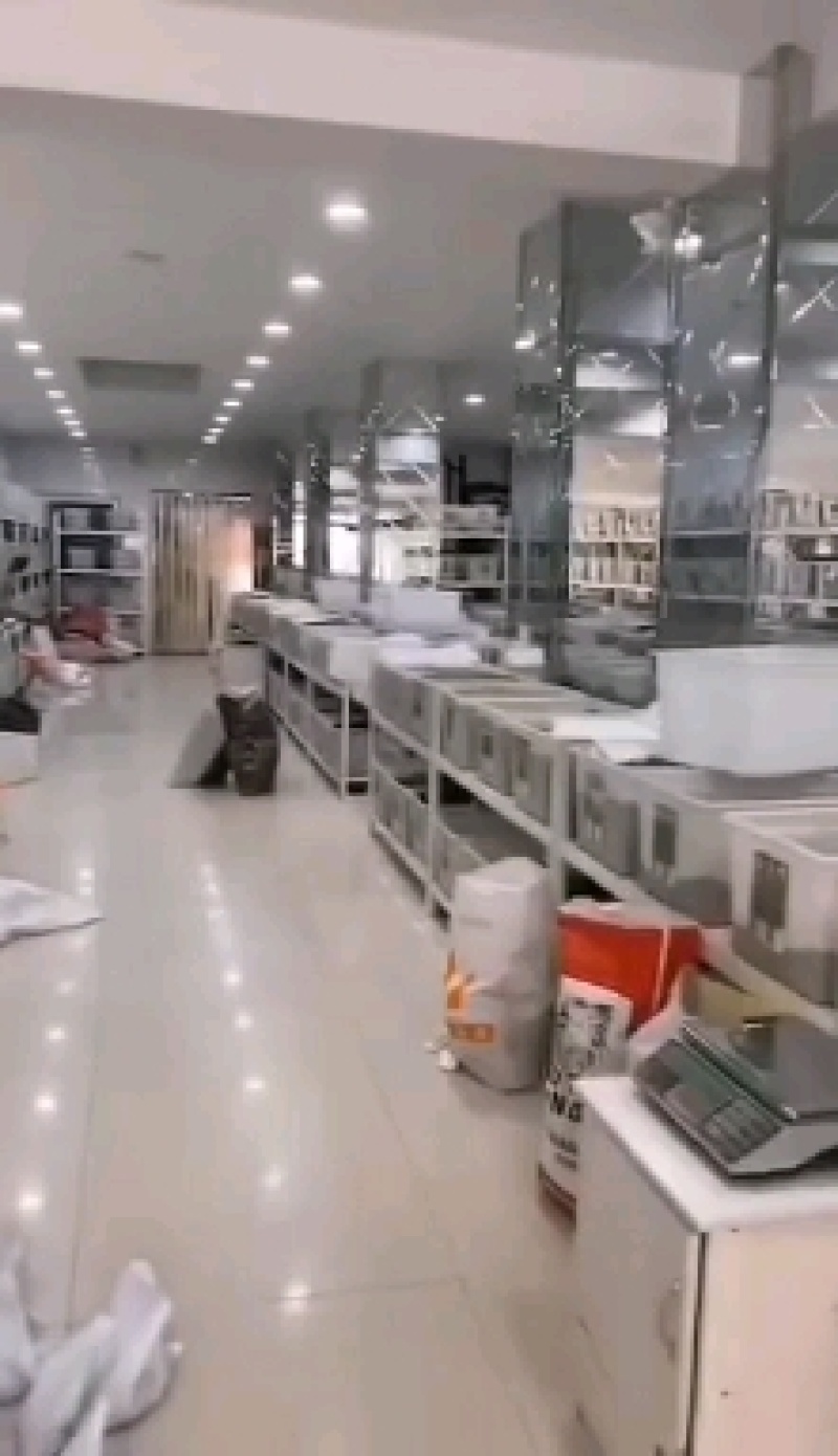 香草种子中草药大面积种植园艺种子家庭园艺