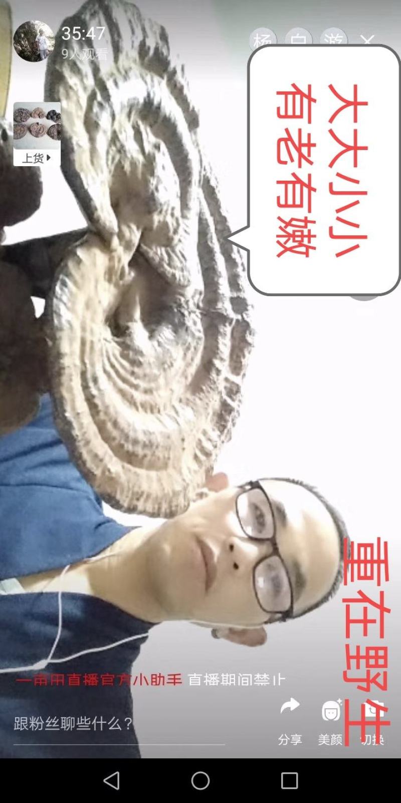 【热卖】九华山灵芝纯野生灵芝2～8公分紫灵芝深山采摘包邮