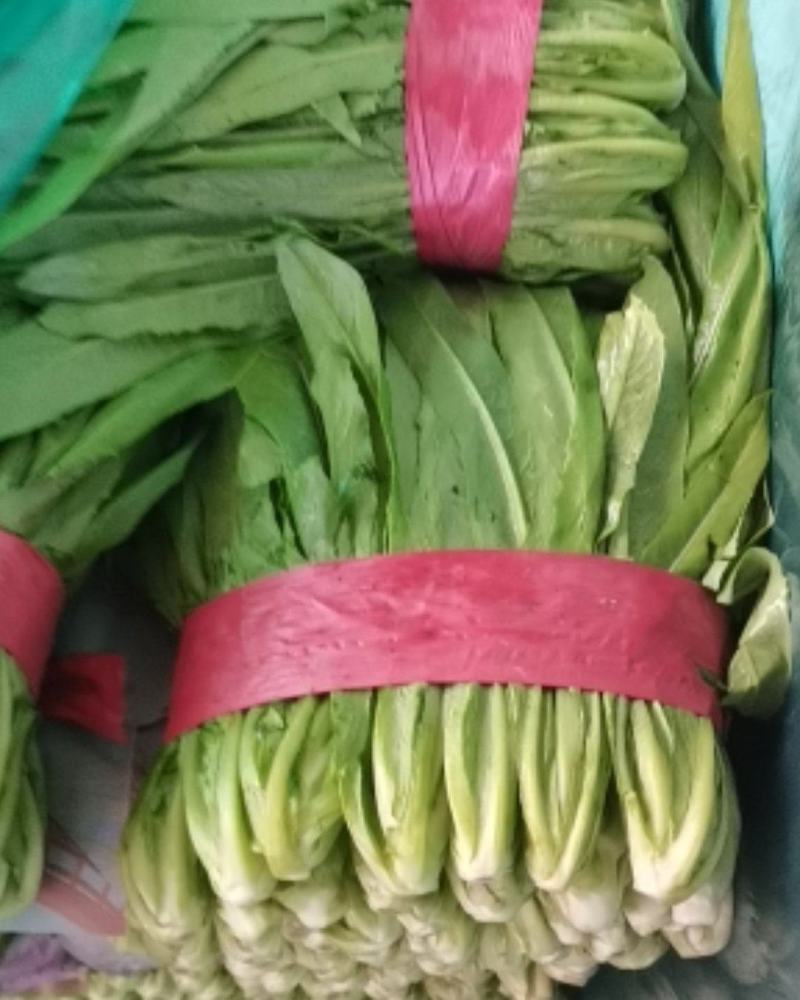 精品。油麦。客户们，有需要的下单