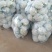 精品花菜，基地直供，价格便宜，诚信代办，合作共赢