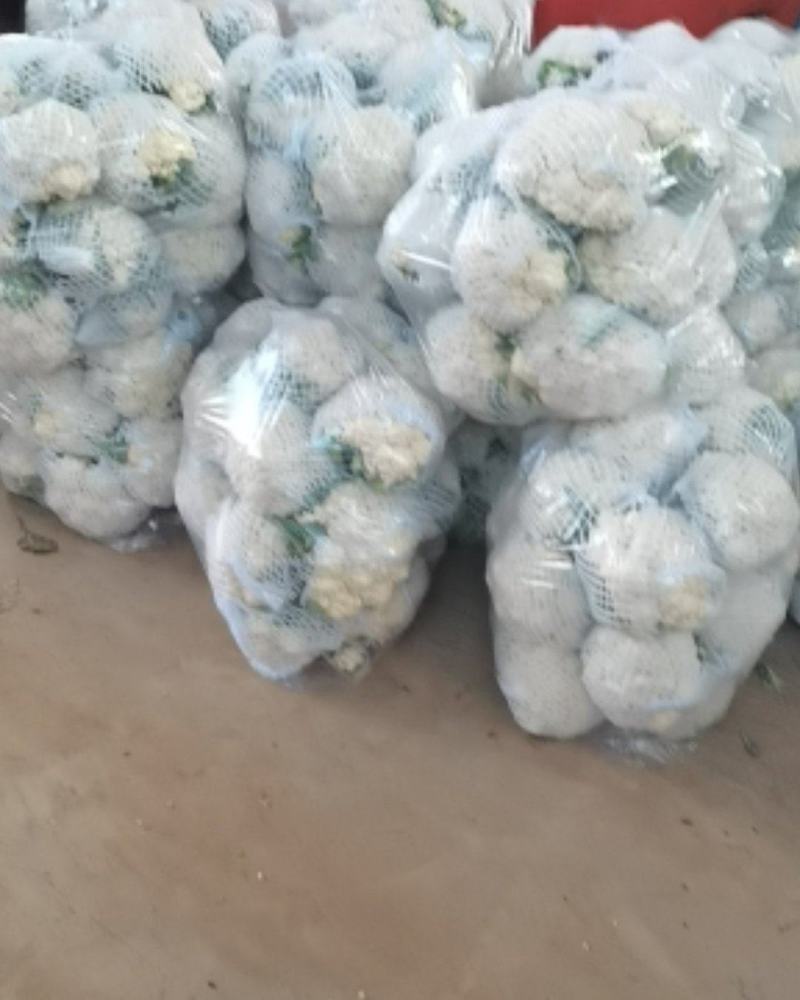 精品花菜，基地直供，价格便宜，诚信代办，合作共赢