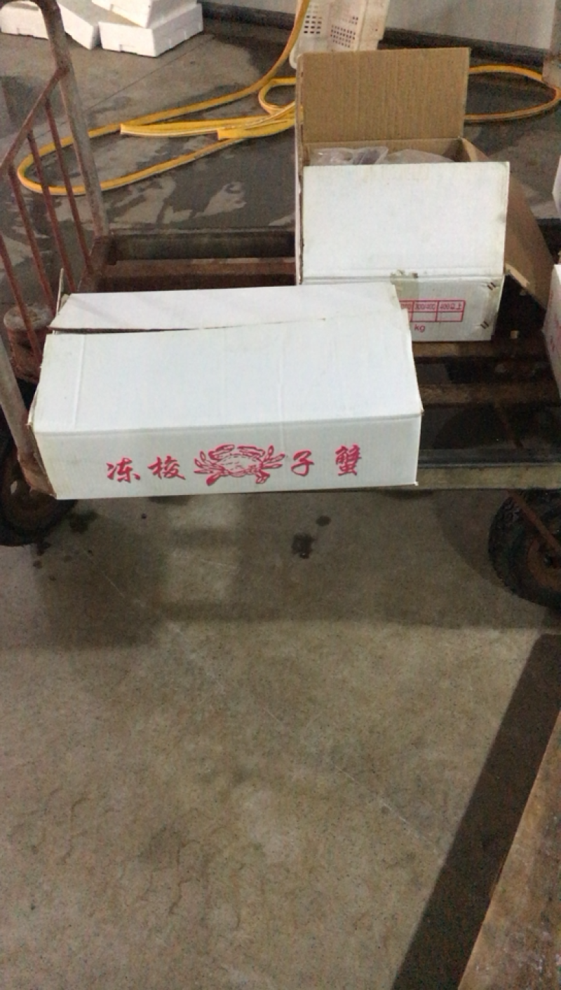 单冻梭子蟹，肉质饱满质量好，欢迎全国老板合作，