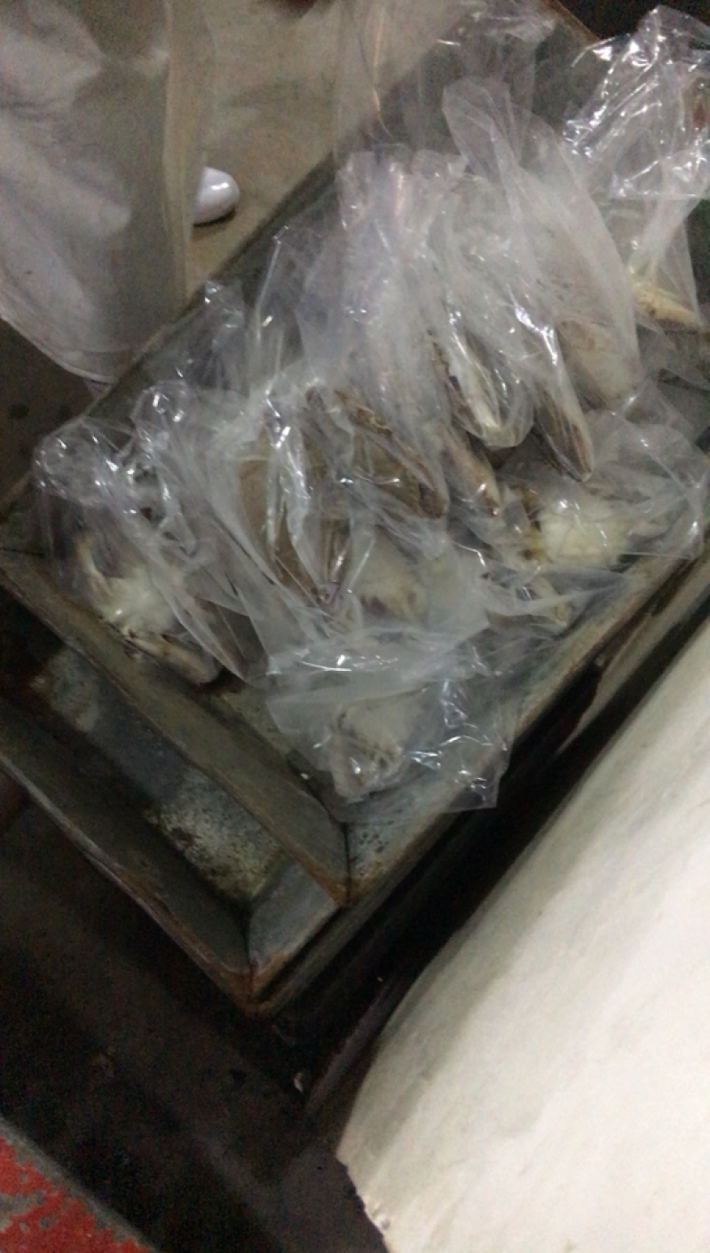 单冻梭子蟹，肉质饱满质量好，欢迎全国老板合作，