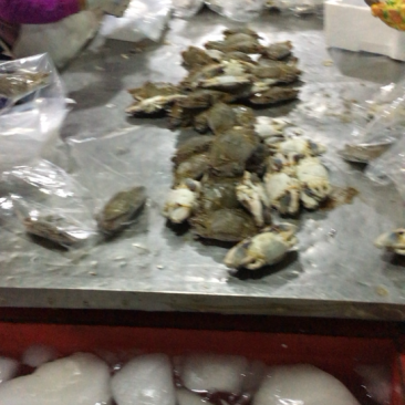 单冻梭子蟹，肉质饱满质量好，欢迎全国老板合作，