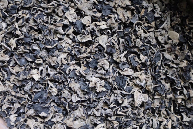 AA东北厚肉云耳足干厚肉批发代发送礼礼盒黑木耳