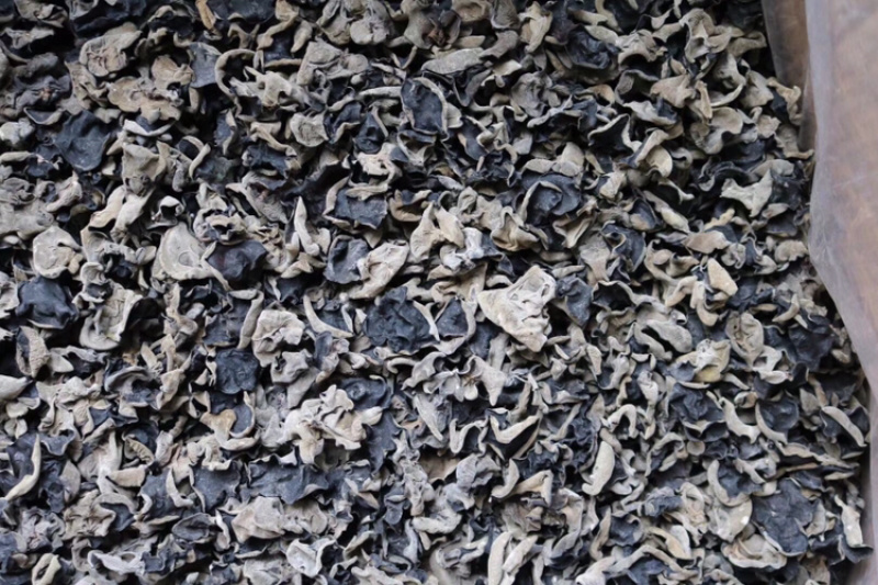 AA东北厚肉云耳足干厚肉批发代发送礼礼盒黑木耳