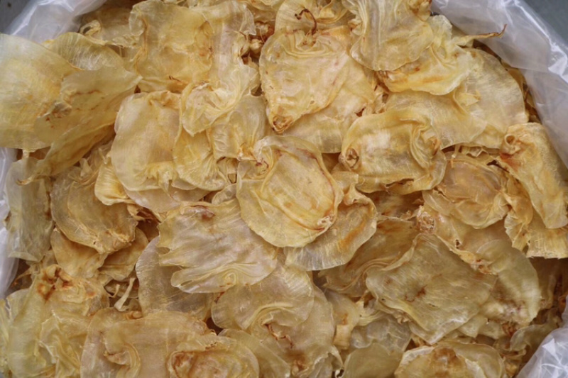 45头印尼顺风赤嘴鱼胶花胶水产干货批发代发进口