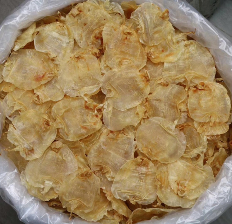 45头印尼顺风赤嘴鱼胶花胶水产干货批发代发进口