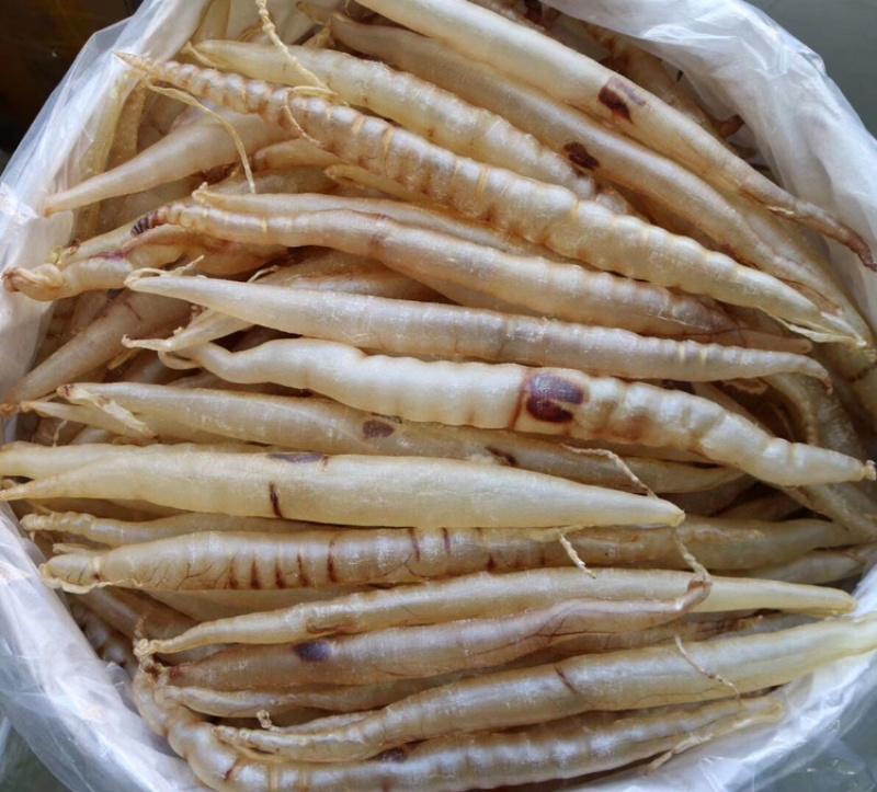 10头鳝肚黄门鳝胶鱼胶花胶水产干货批发代发