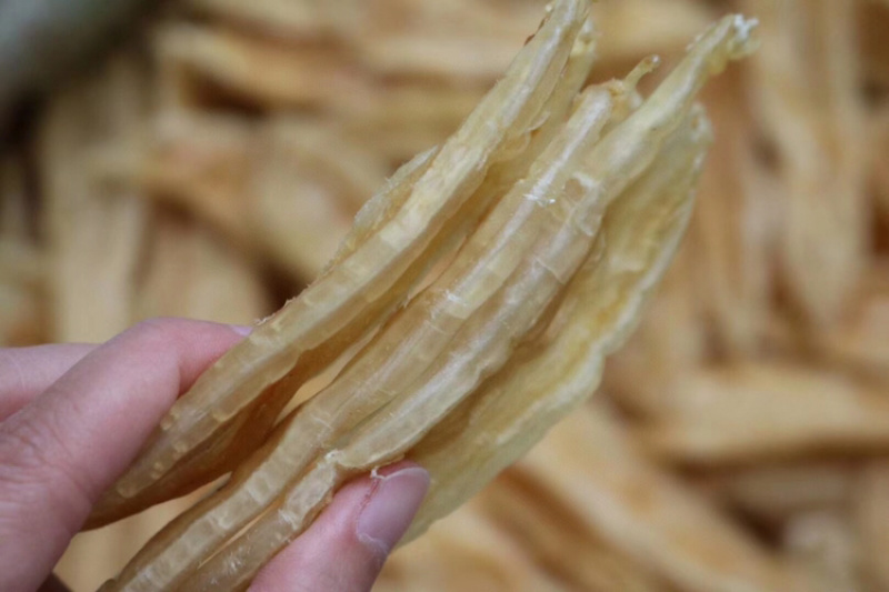 40头双背胶鱼胶花胶水产干货批发代发送礼