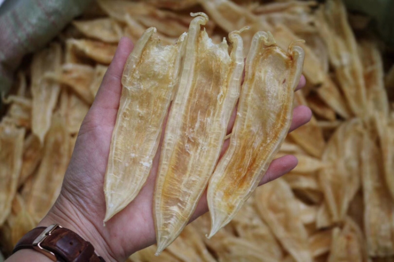 40头双背胶鱼胶花胶水产干货批发代发送礼