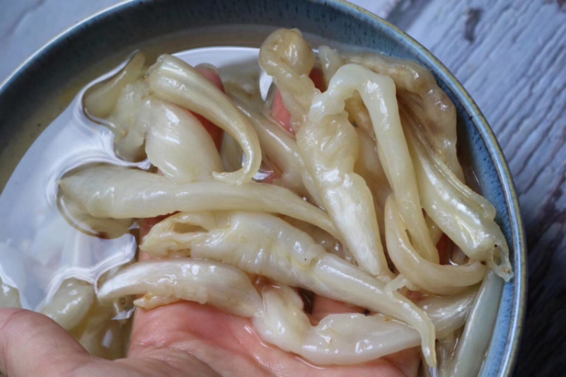 特价650头豆仁胶鱼胶花胶水产干货批发代发