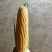 水果玉米黄色品种为先锋
