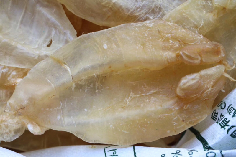 B8头苏里南北海母开片鱼胶花胶水产干货批发代发