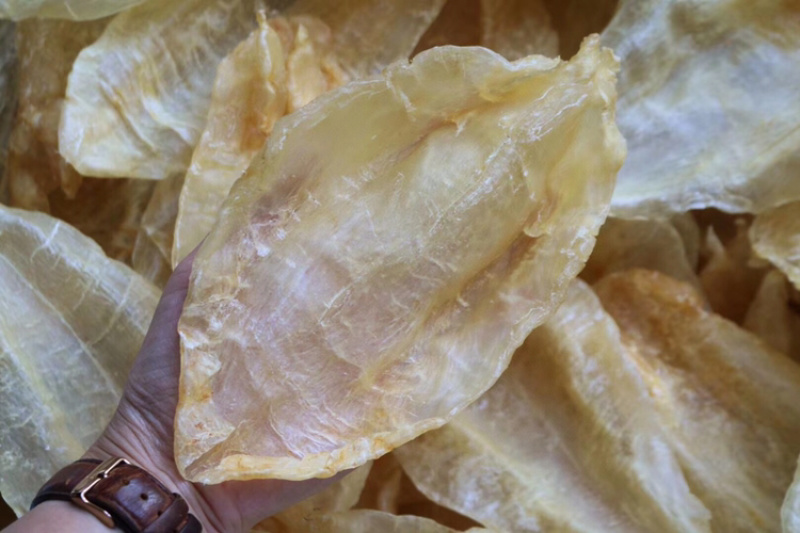 B8头苏里南北海母开片鱼胶花胶水产干货批发代发