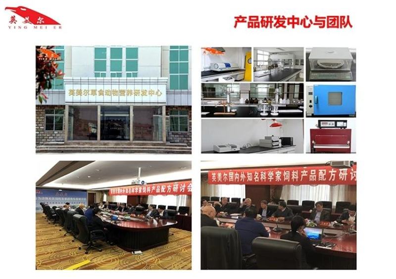 牛饲料繁殖母牛预混饲料犊牛饲料育肥牛饲料英美尔新款上市