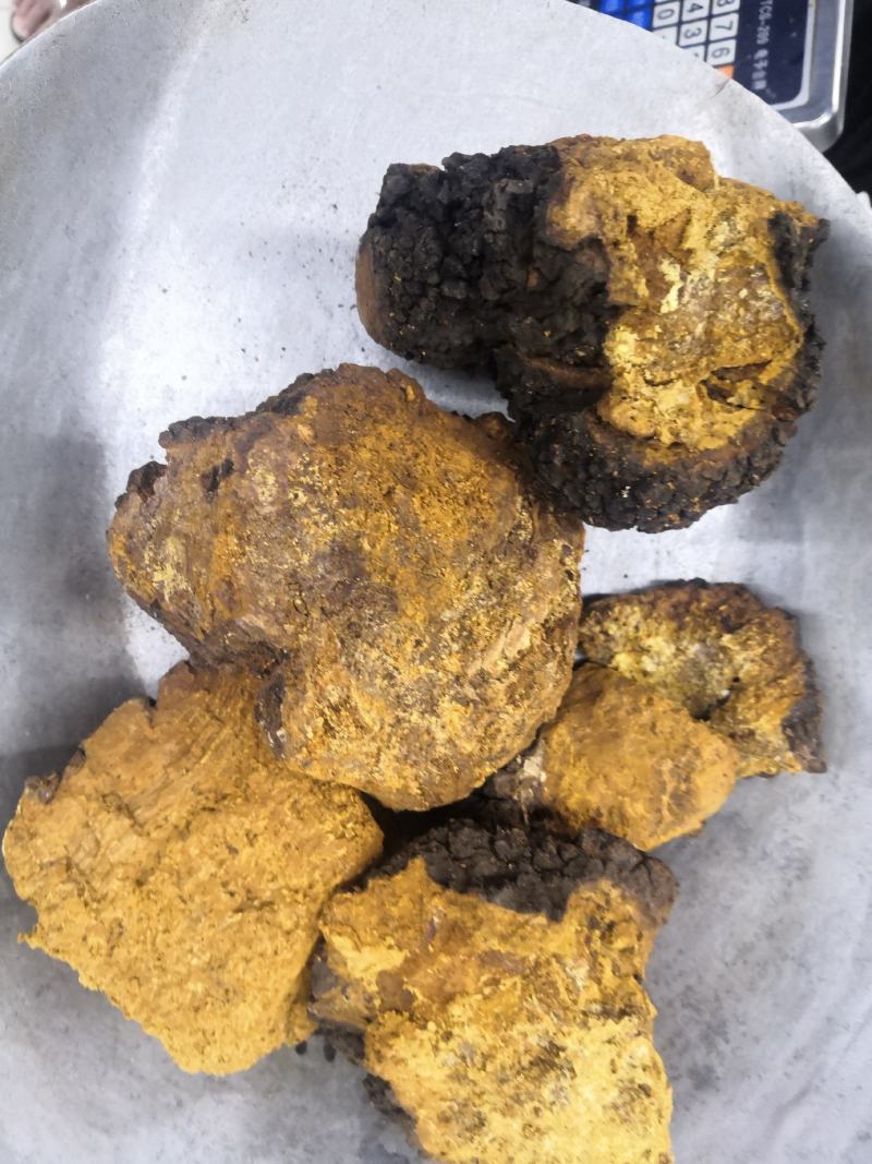 桦树茸白桦茸无硫桦褐孔菌量大从优