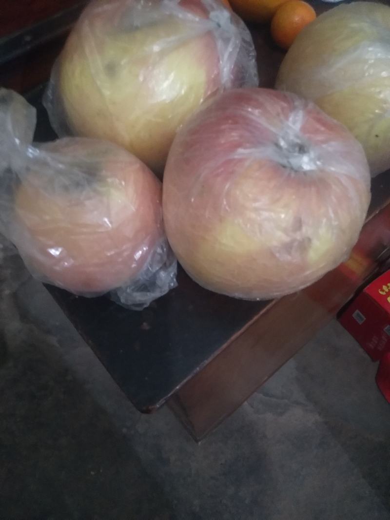 现有大量红星苹果，欢迎订购