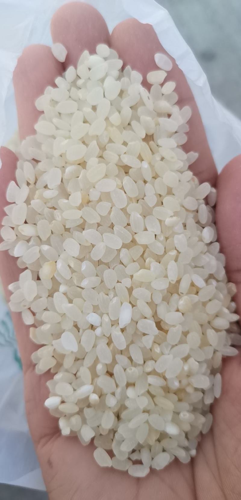 色选酒米，质量好，整车，宁夏粳稻