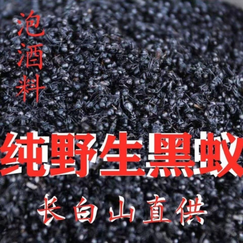 黑蚂蚁一手货源产地直销