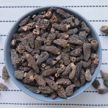 野生羊肚菌1cm批发代发送礼礼盒食用菌干货