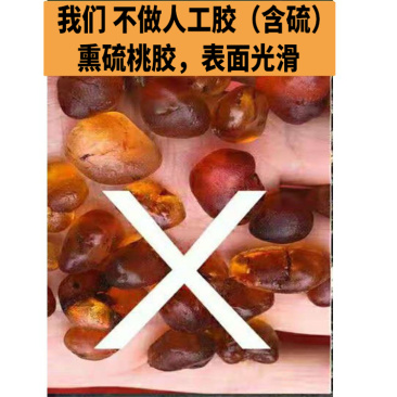 亳州精品天然桃胶非合成精品桃胶红桃胶红黄桃胶一手货源量