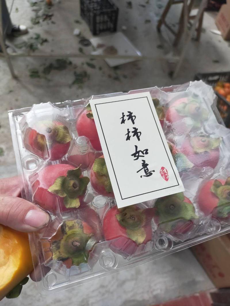 山西永株柿，吊红，火葫芦，柿中精品