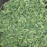 国产特绿小茴香包含量包过检，统绿统货小茴香大量供批零兼营