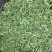 国产特绿小茴香包含量包过检，统绿统货小茴香大量供批零兼营