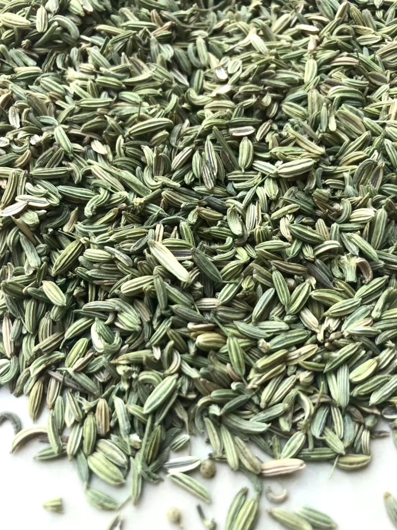 国产特绿小茴香包含量包过检，统绿统货小茴香大量供批零兼营