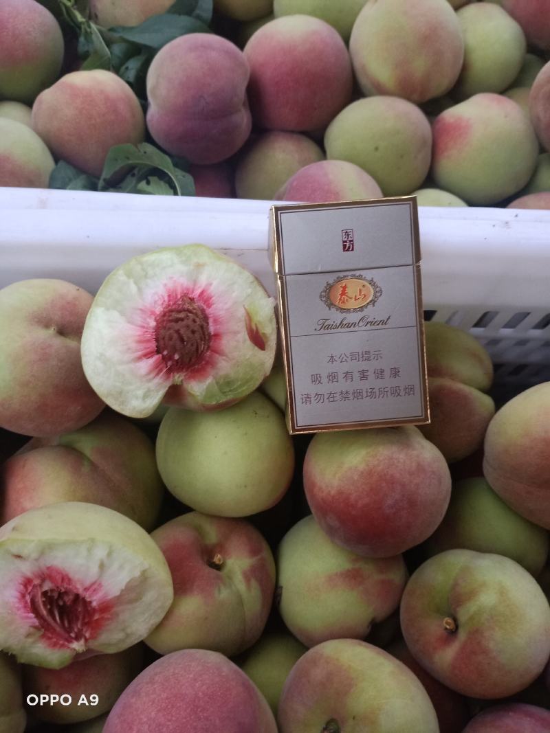 青州蜜桃全红蜜山东毛桃离核毛桃嵩山蜜