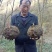 新鲜白魔芋豆腐原材料小魔芋老品种陕南特产