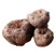 新鲜白魔芋豆腐原材料小魔芋老品种陕南特产