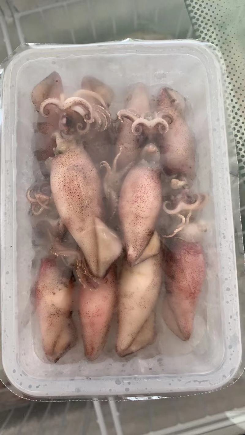 老家各种海产品品质特好，