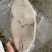 老家各种海产品品质特好，